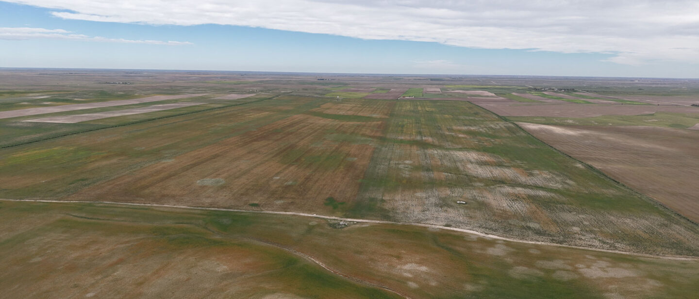 DJI 20260914112217 0481 D
