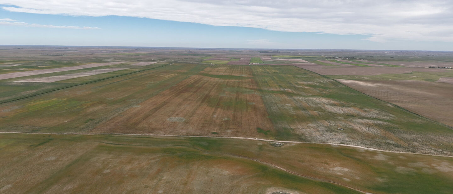 DJI 20260914112224 0482 D