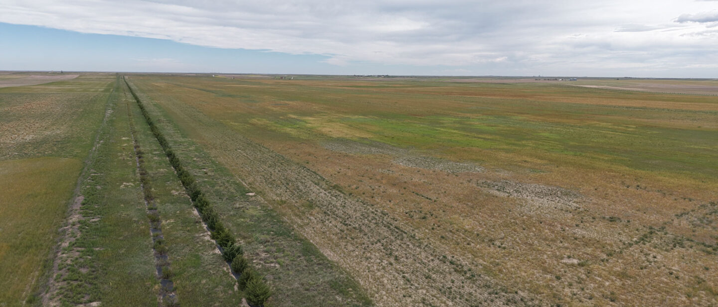 DJI 20260914112434 0487 D