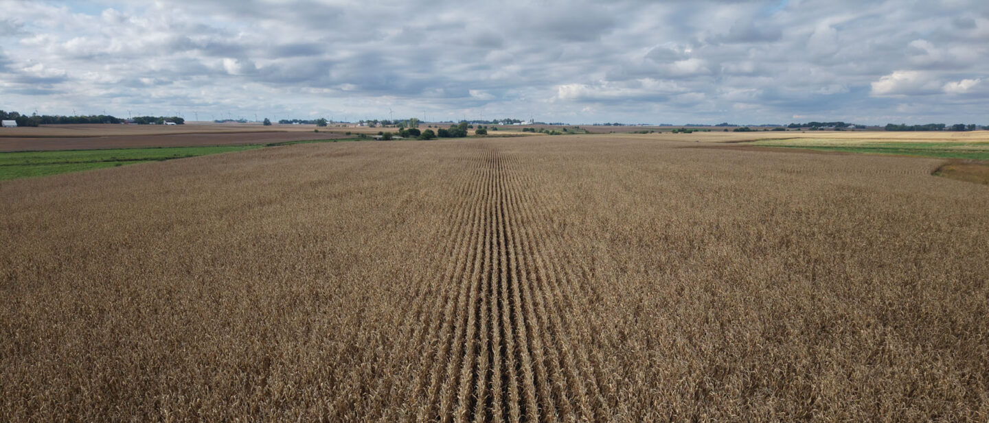 DJI 20260928163116 0132 D