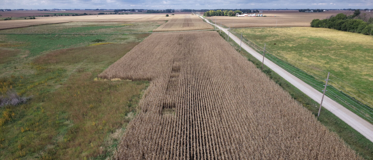 DJI 20260928163210 0136 D