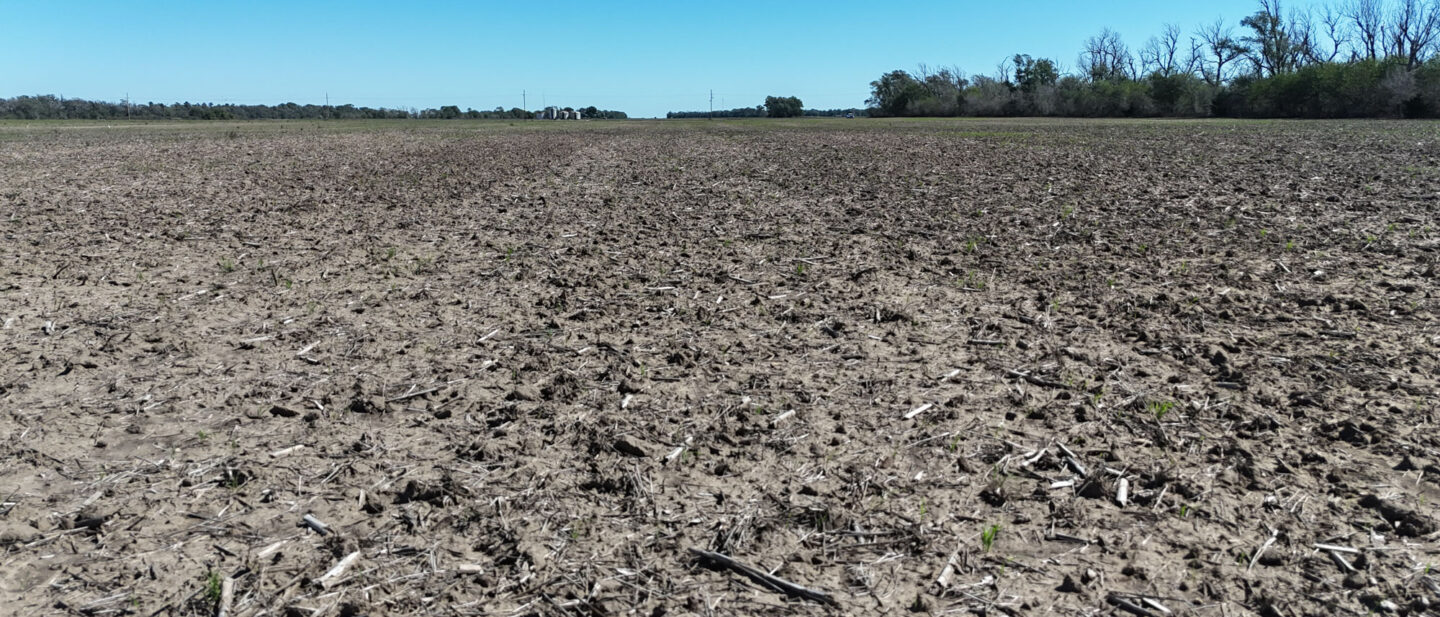 DJI 20261004130720 0769 D