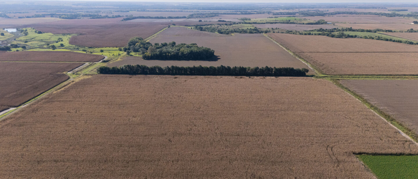 DJI 20261006103939 0004 D