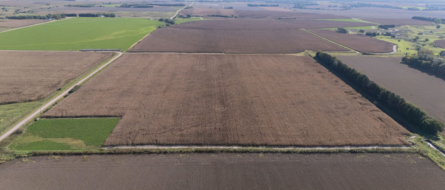 DJI 20261006104407 0008 D
