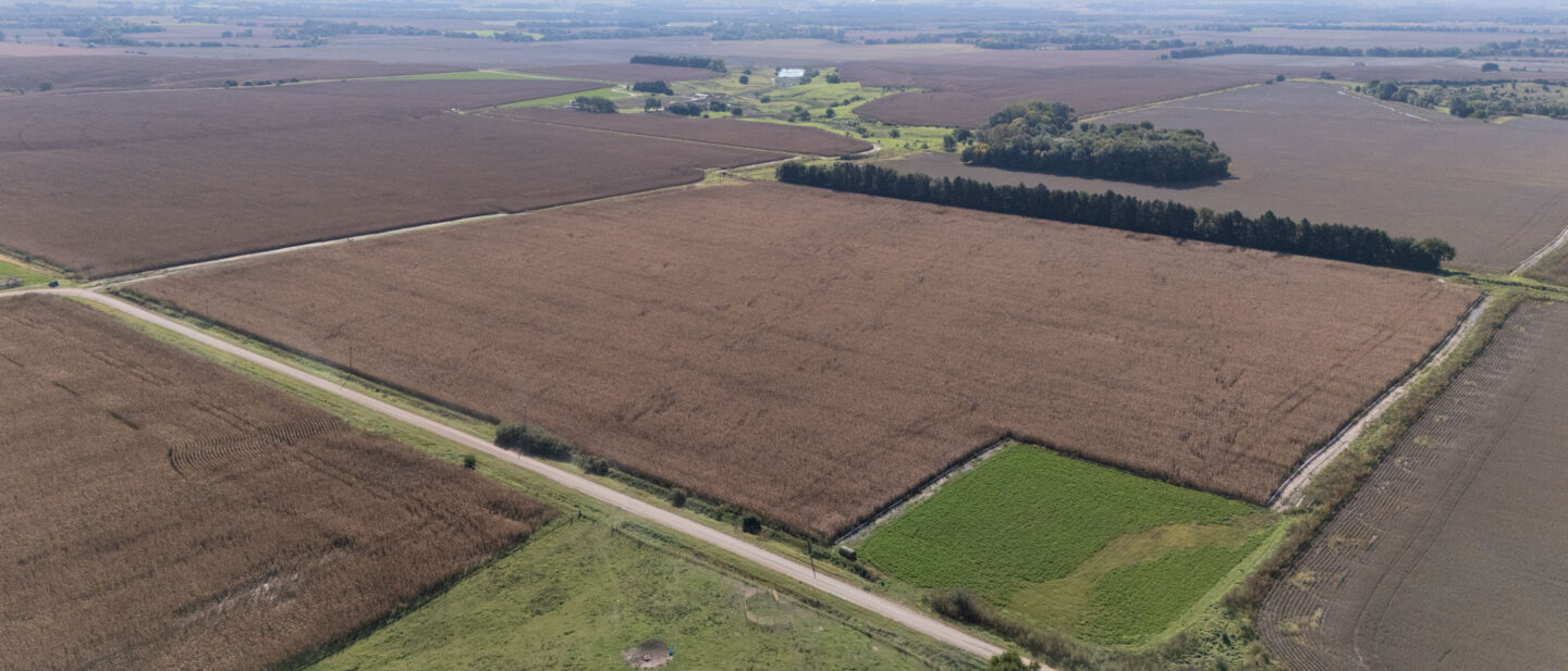 DJI 20261006110021 0019 D