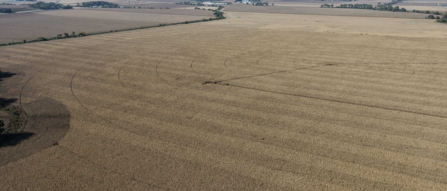 DJI 20261009145439 0013 D