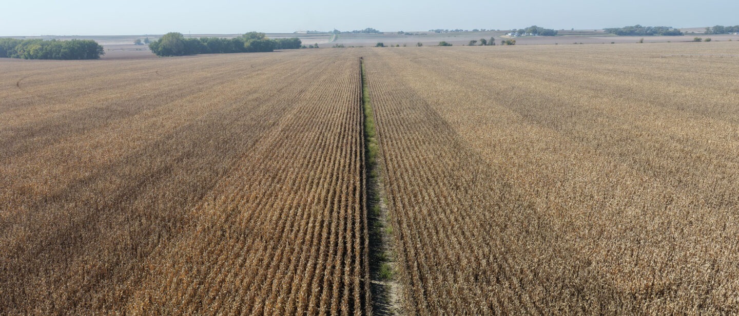 DJI 20261009145602 0018 D