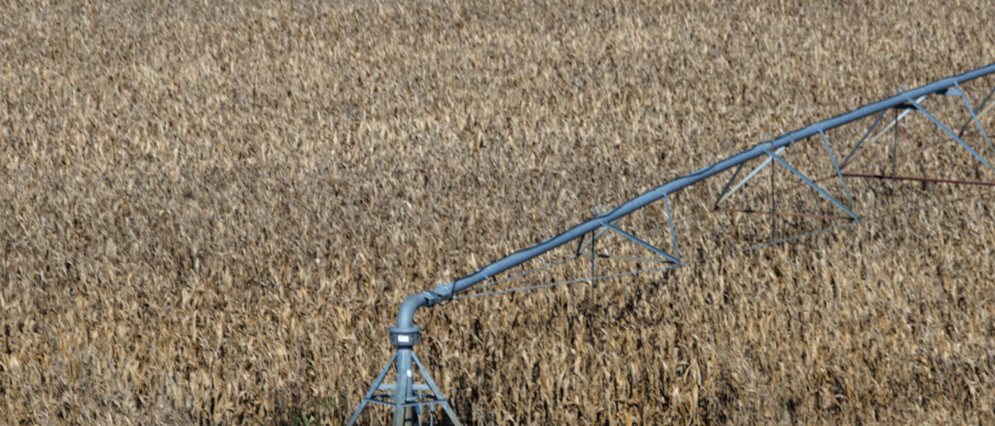 DJI 20261009150056 0027 D