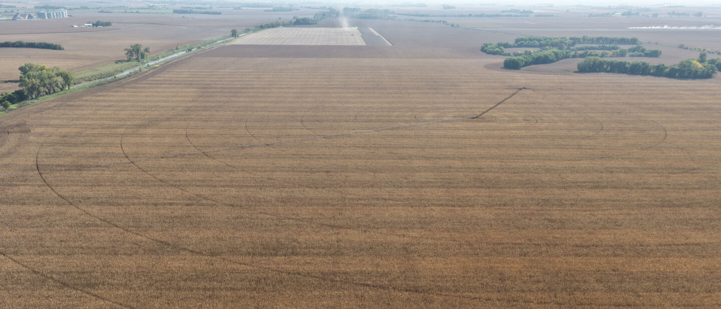 DJI 20261009150517 0036 D