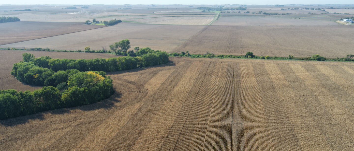 DJI 20261009151215 0044 D