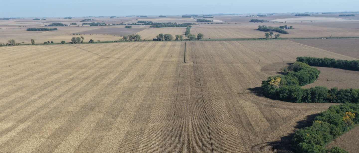 DJI 20261009151327 0046 D