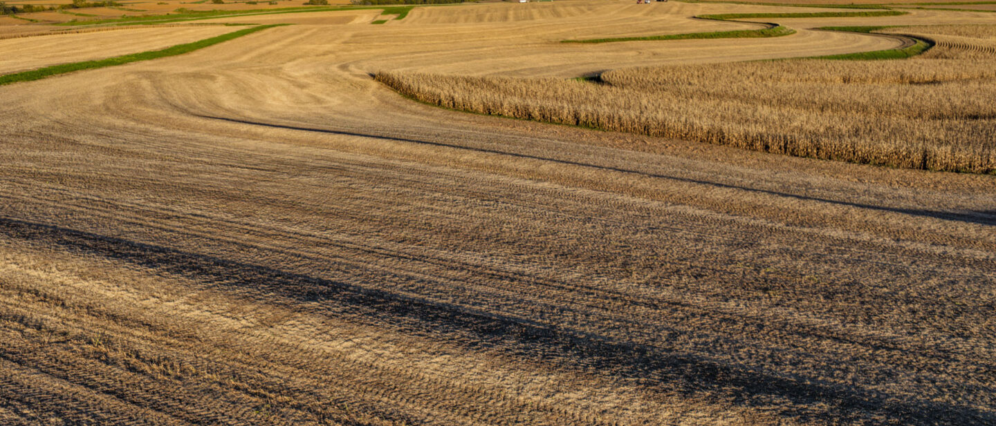 DJI 20261009180217 0114 D