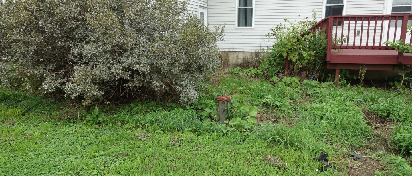 DSC07559