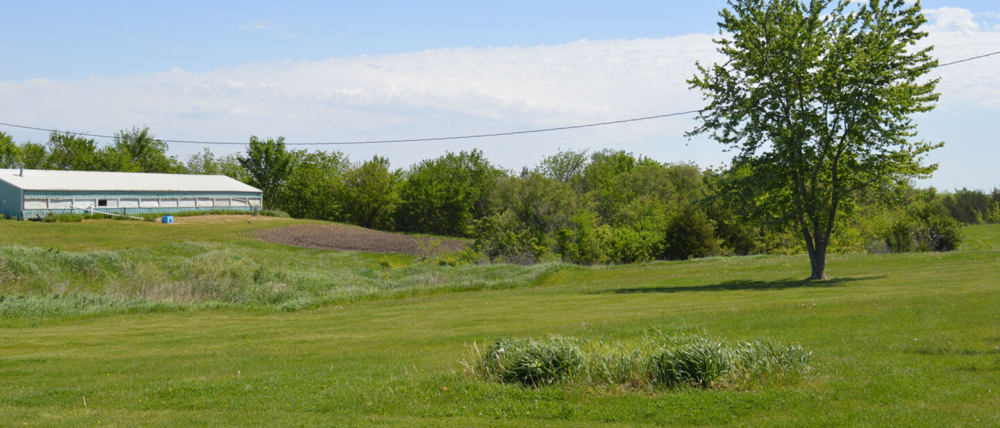 DSC 0657