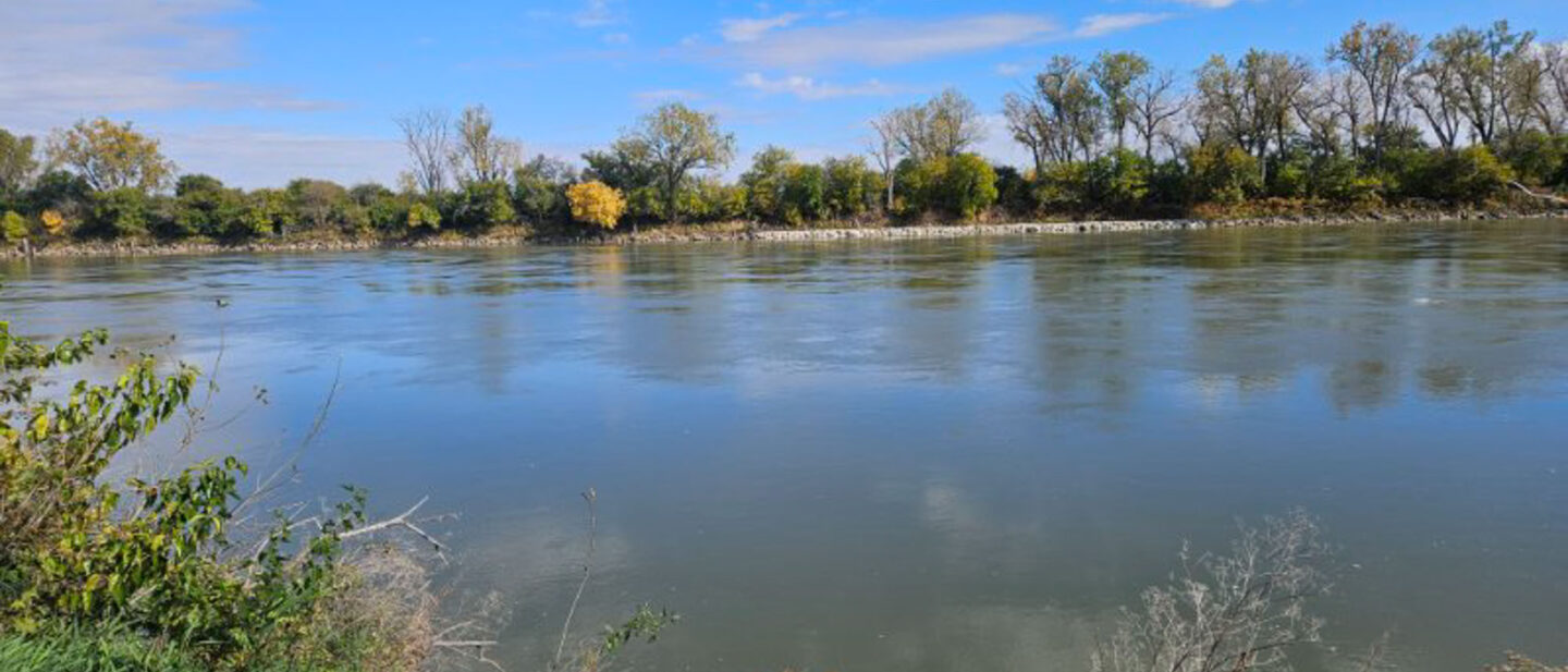 Dickinson Sarpy LTD River