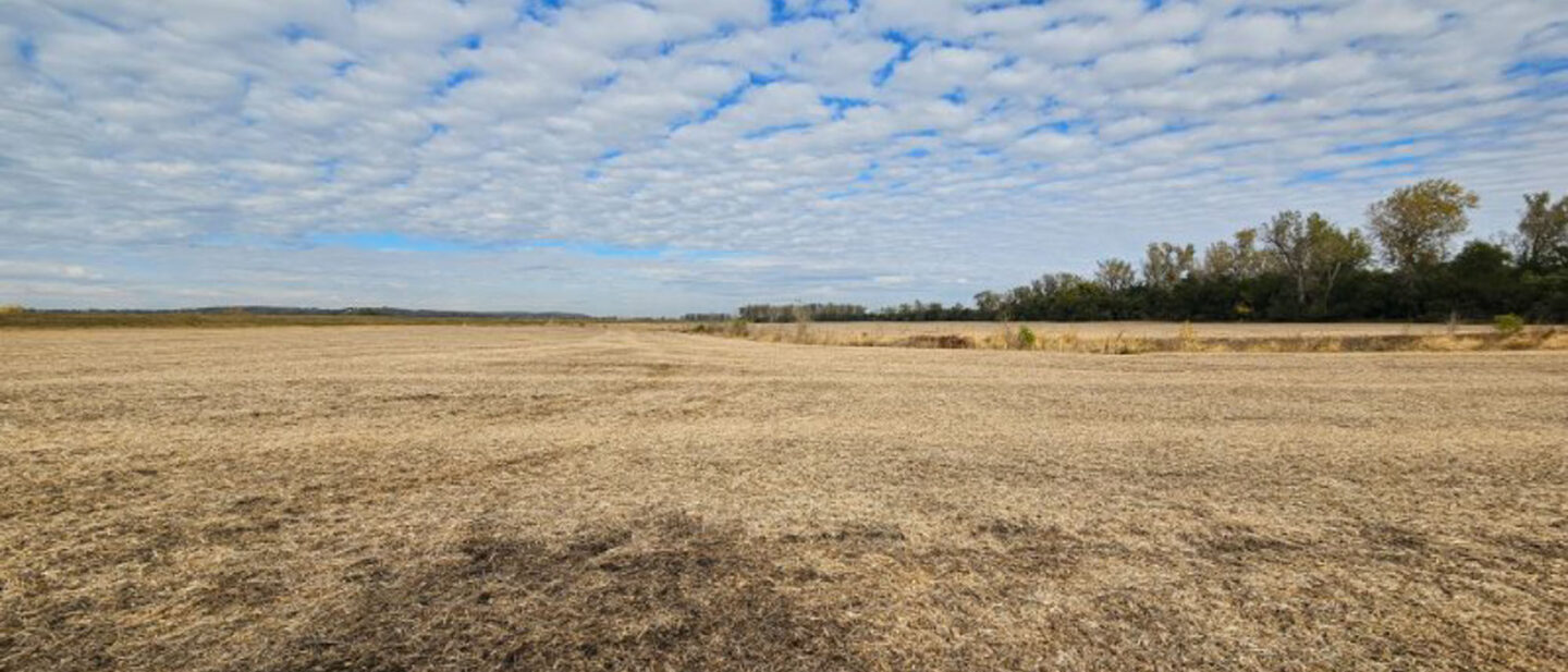 Dickinson Sarpy South