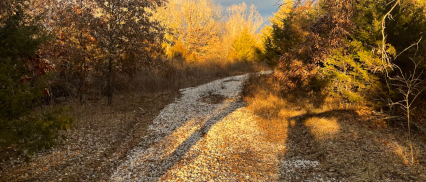 Driveway 2