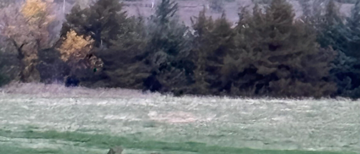 E59 B3 CAA D7 D2 4148 BCE5 1 A8 A86 BC0936