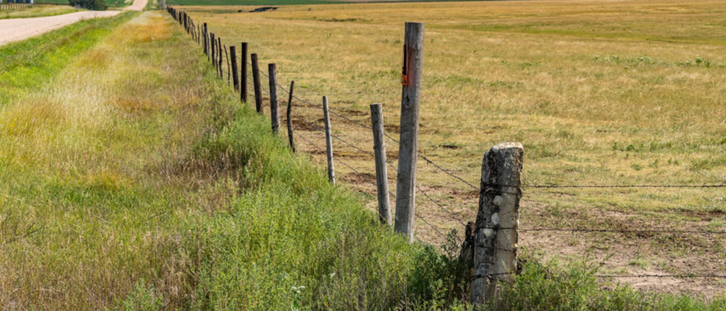 EAST FENCE 2