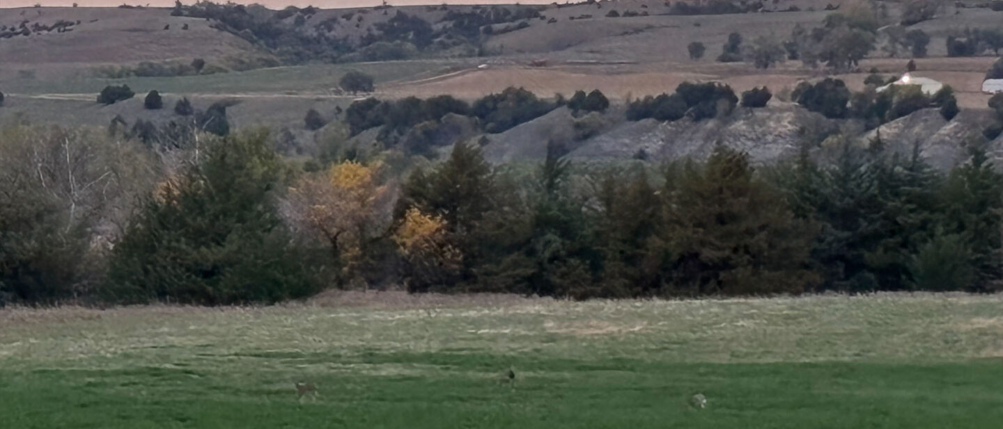 ECB25 CB2 B320 47 F7 B73 D BD1 D97 A41 ECF