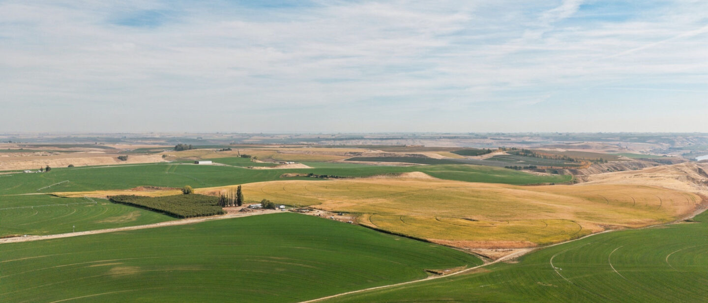 East Side Property Aerial