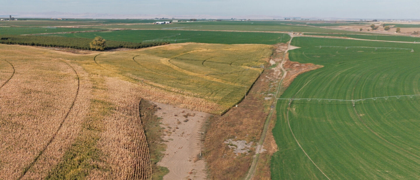 East Side of Property 5 Tower Center Pivot