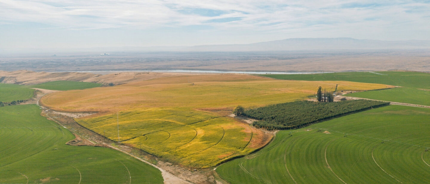 East Side of Property Aerial