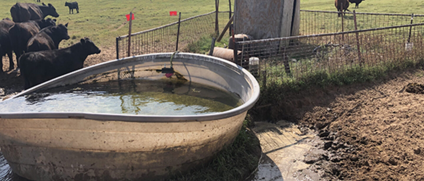 Electric well and tank