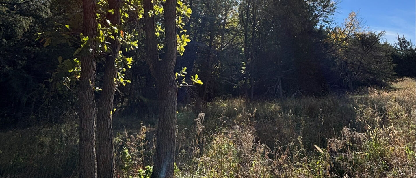 FA5 B30 E8 12 EB 477 F B59 B B24820862798