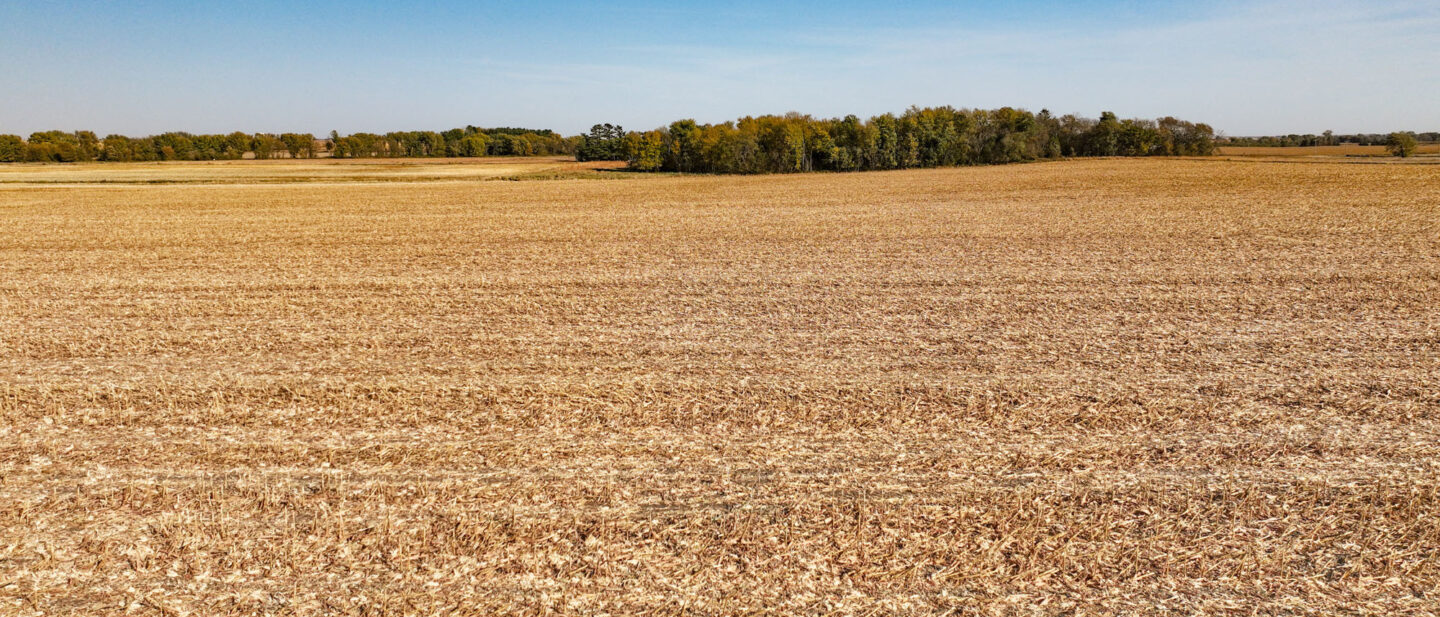 Facing Acreage