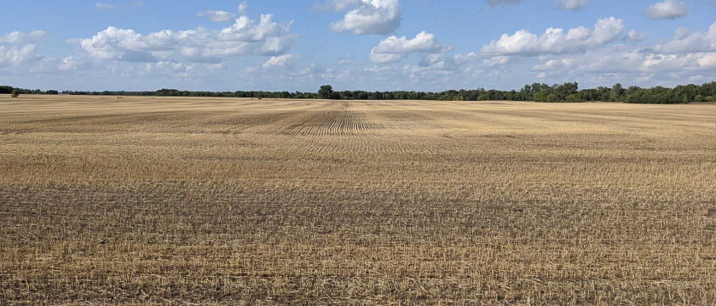 Facing north on east part