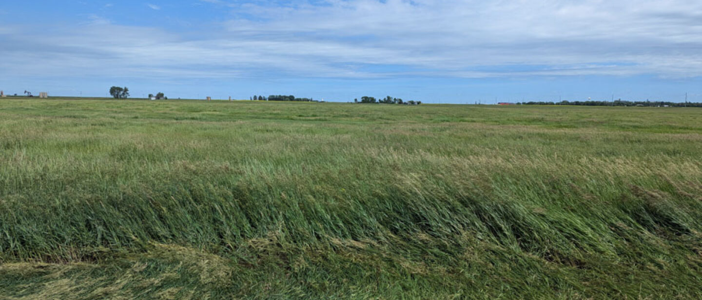 Facing north on west side 1