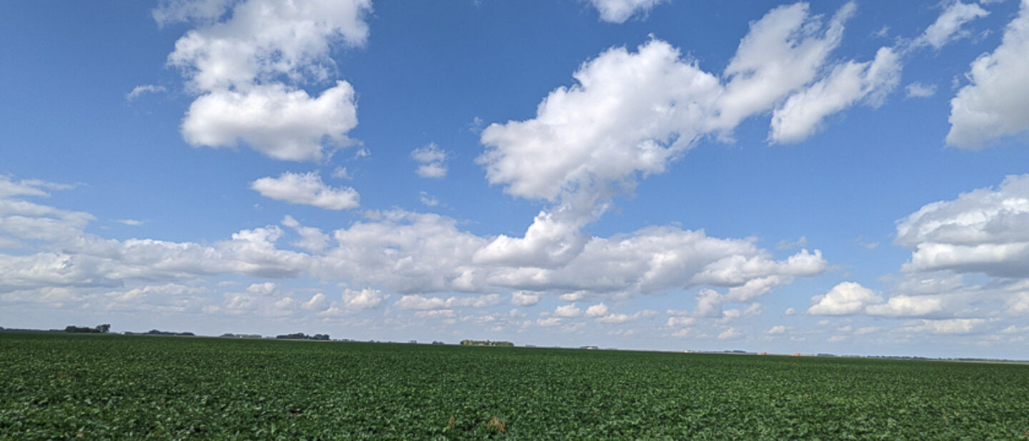 Facing north