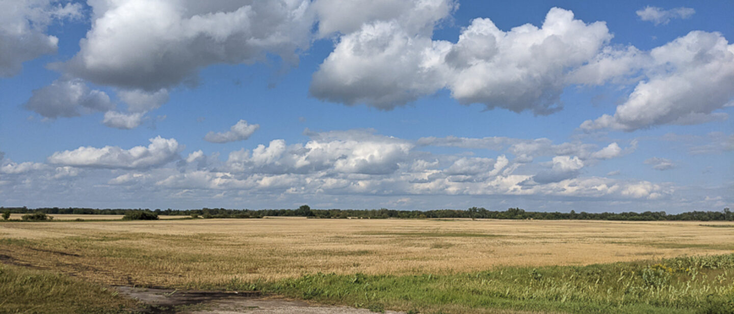 Facing northeast from southwest corner