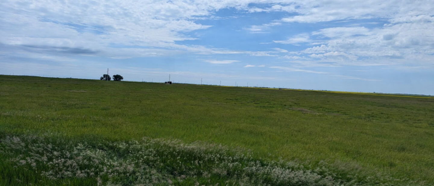 Facing south from east of site 1