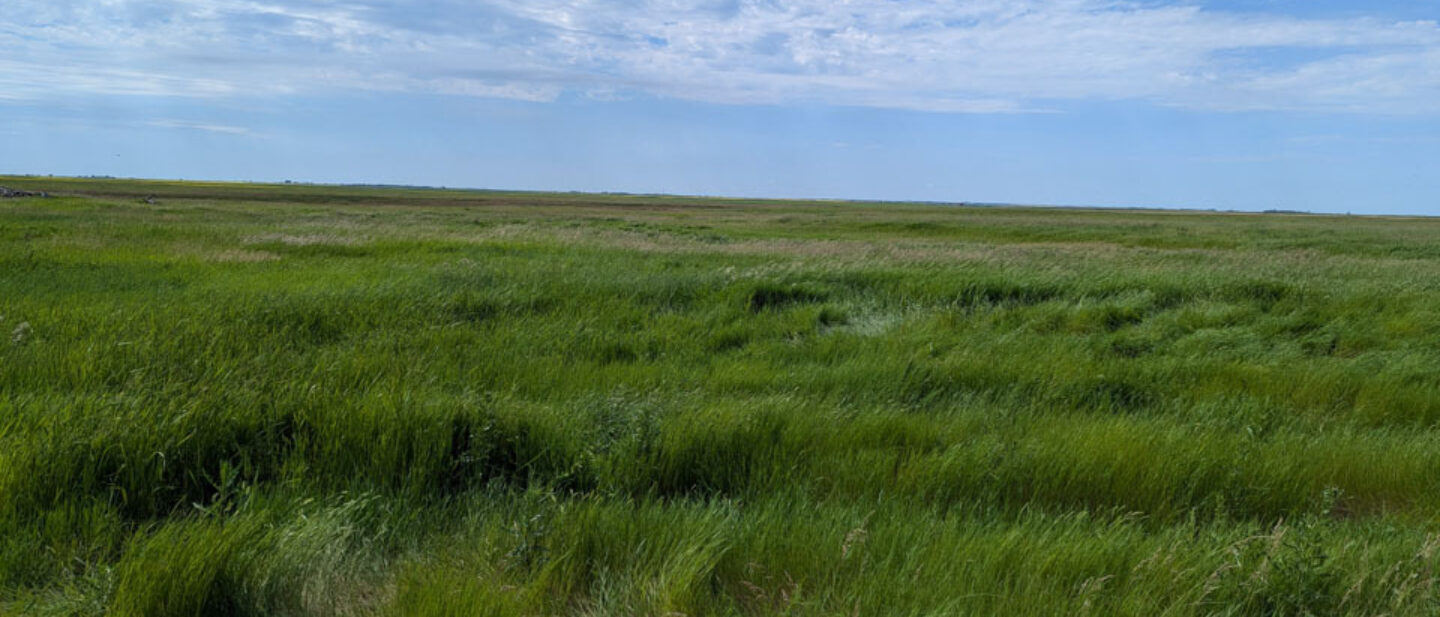 Facing southwest from site