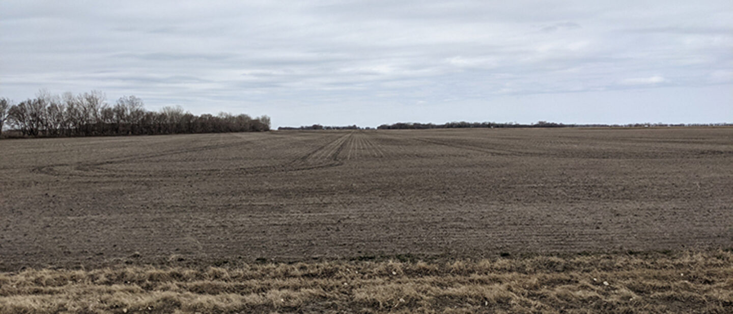 Facing west on north side