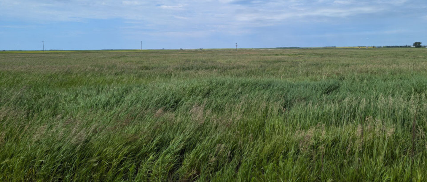 Facing west on south side 5