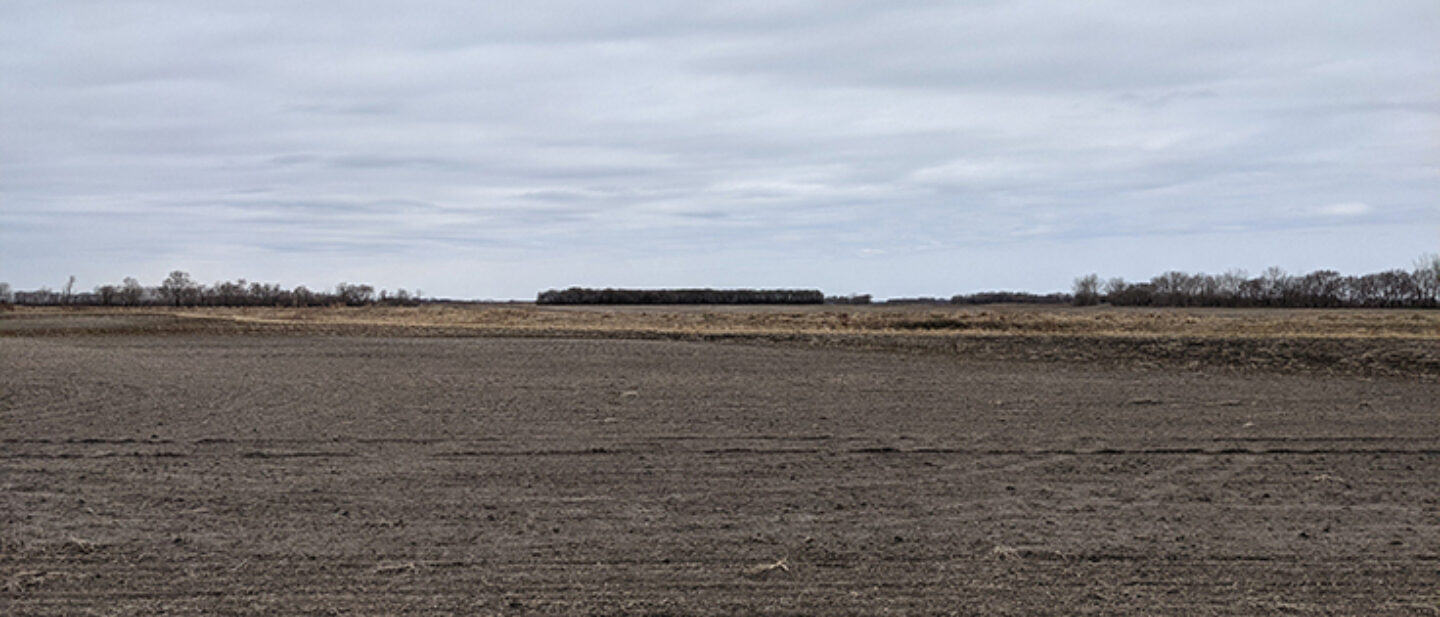 Facing west on south side at small cropland and dike