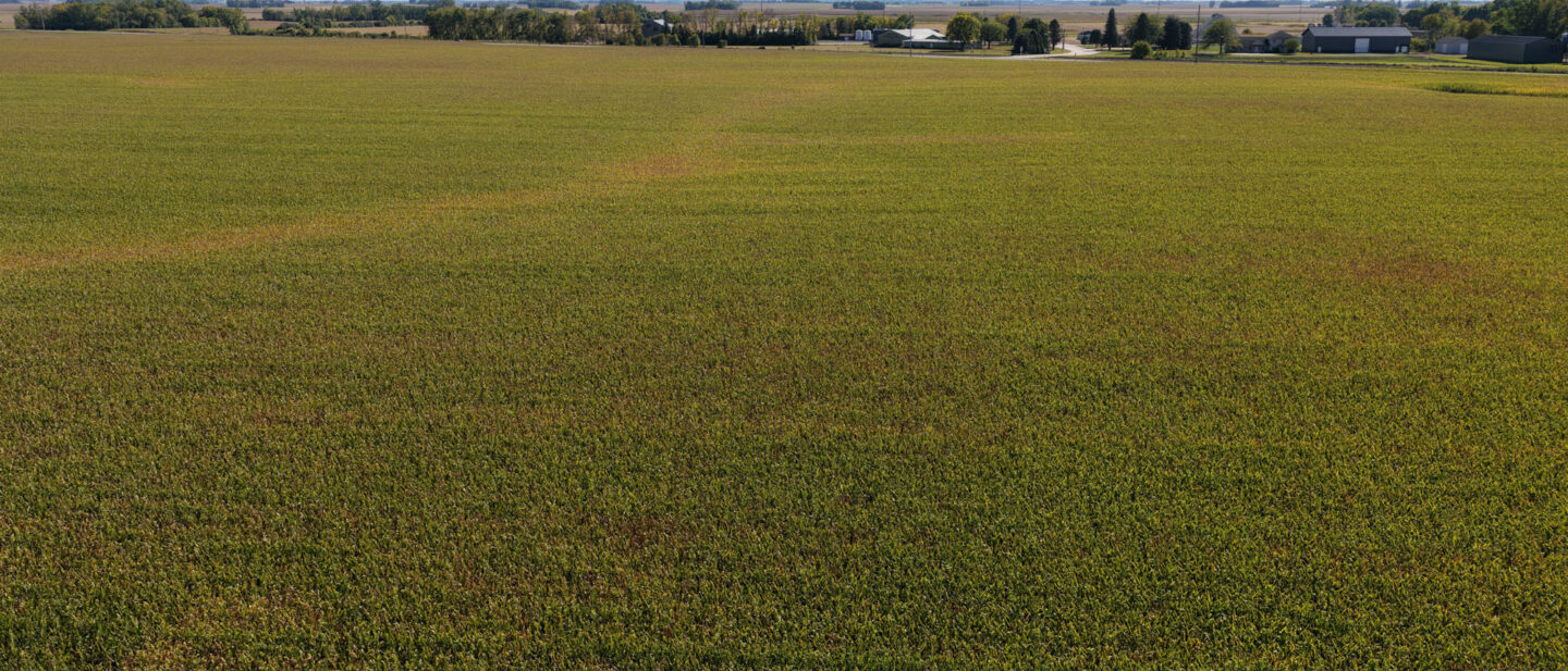 Faribault County Minnesota Farmland For Sale 1
