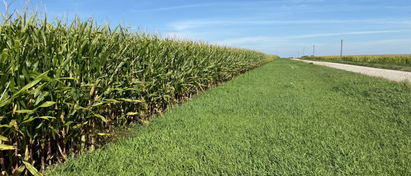 Faribault County Minnesota Farmland For Sale 2