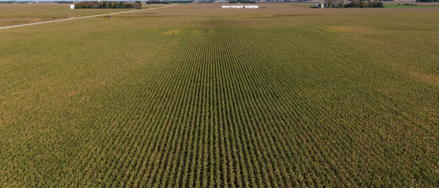 Faribault County Minnesota Farmland For Sale 5