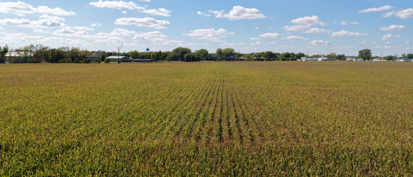 Faribault County Minnesota Farmland For Sale 6