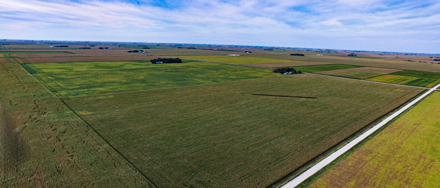 Farm 1
