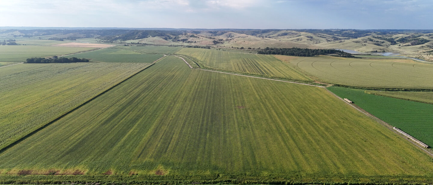 Farm 1