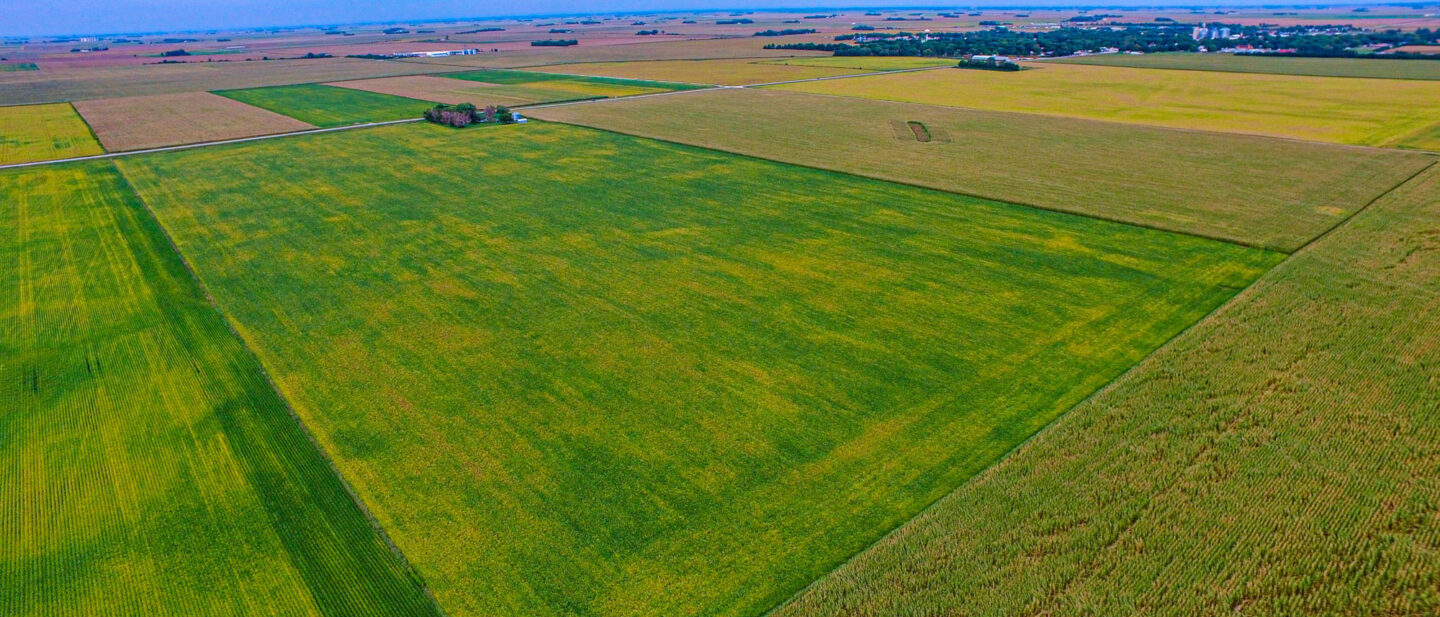 Farm 2