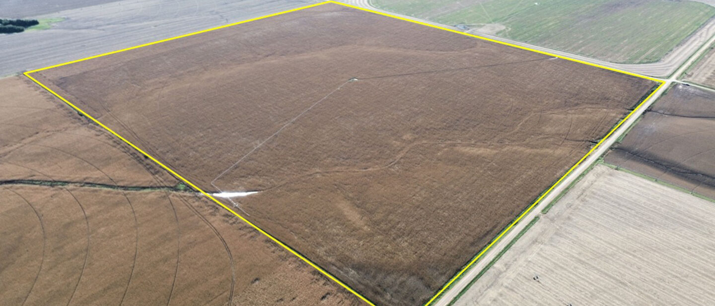 Farm 4 Border
