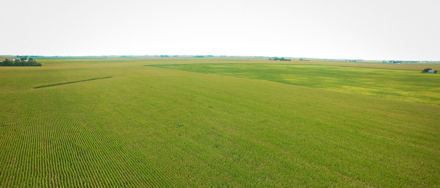 Farm 6