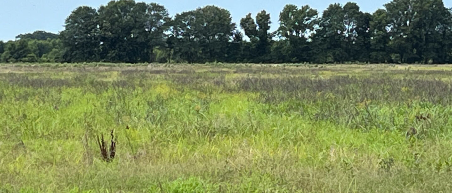 Field North Tract 2