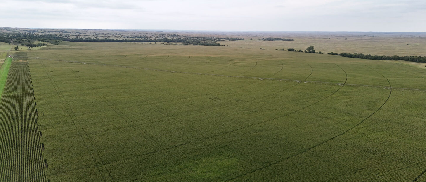 Field photo